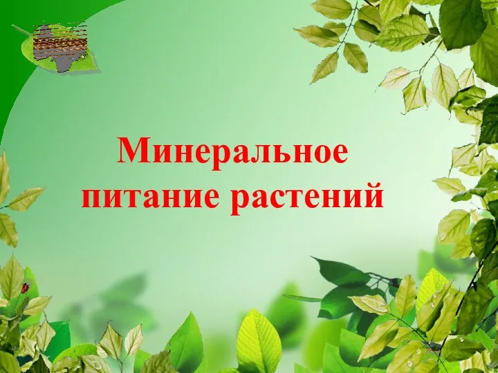 Минеральное питание растений