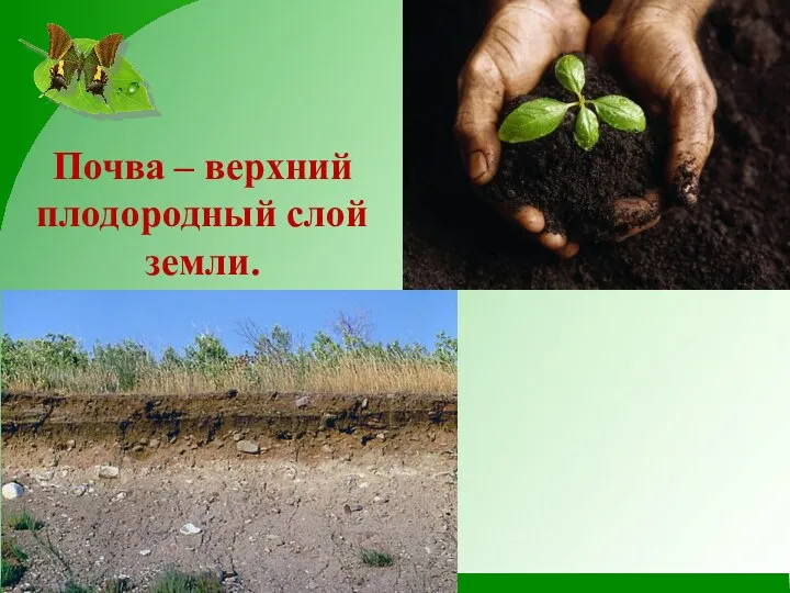 Почва – верхний плодородный слой земли.