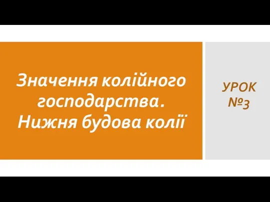 Значення колійного господарства. Нижня будова колії УРОК №3