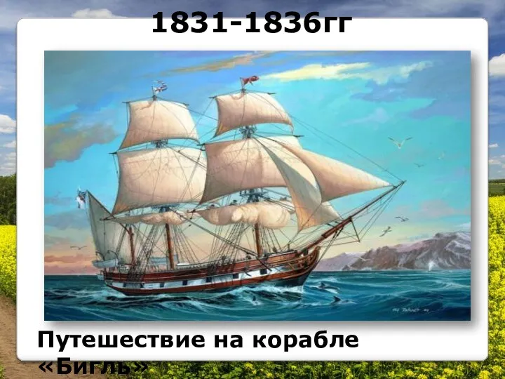 1831-1836гг Путешествие на корабле «Бигль»
