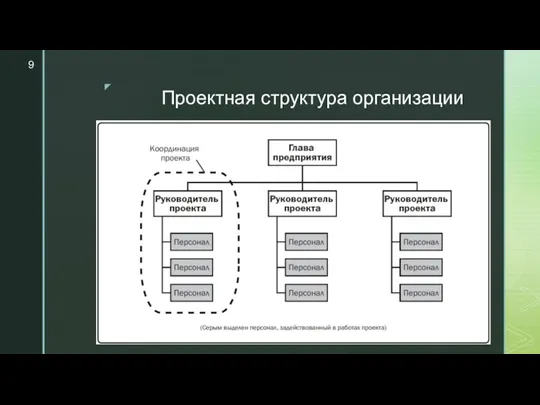 Проектная структура организации