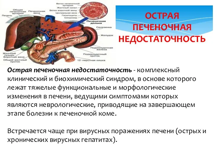 Острая печеночная недостаточность - комплексный клинический и биохимический синдром, в