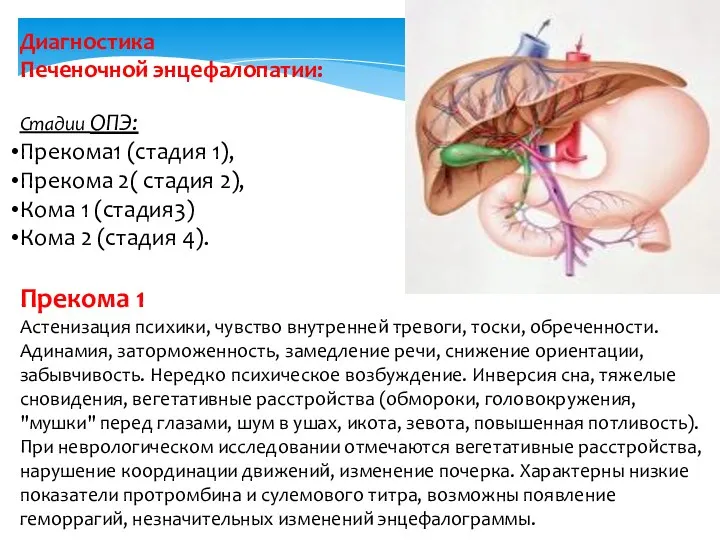 Диагностика Печеночной энцефалопатии: Стадии ОПЭ: Прекома1 (стадия 1), Прекома 2(