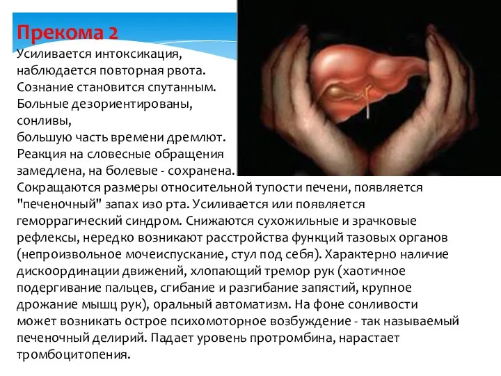 Прекома 2 Усиливается интоксикация, наблюдается повторная рвота. Сознание становится спутанным.