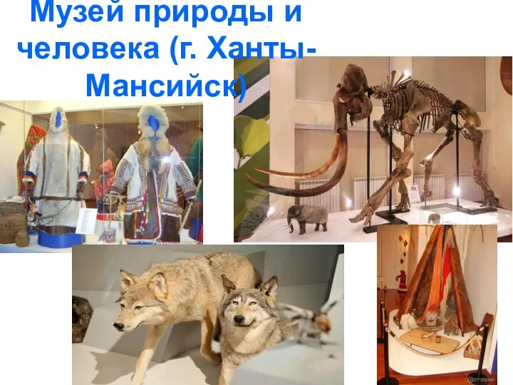 Музей природы и человека (г. Ханты-Мансийск)