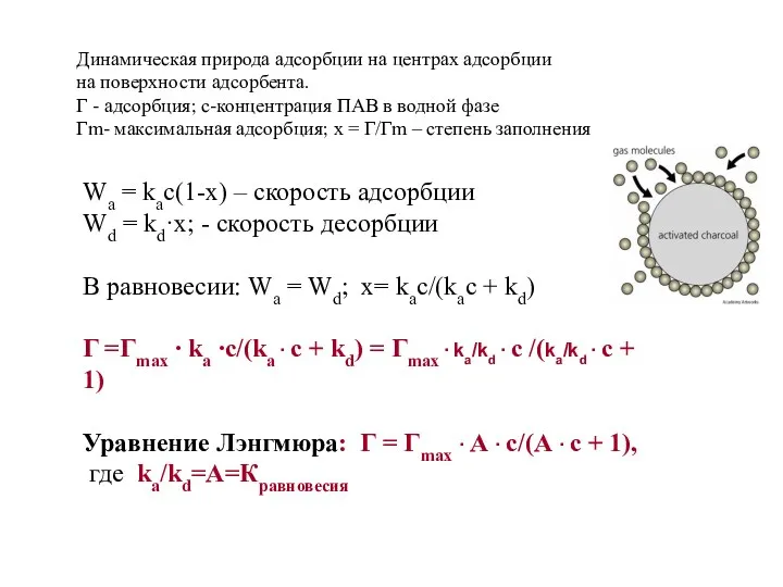 Динамическая природа адсорбции на центрах адсорбции на поверхности адсорбента. Γ