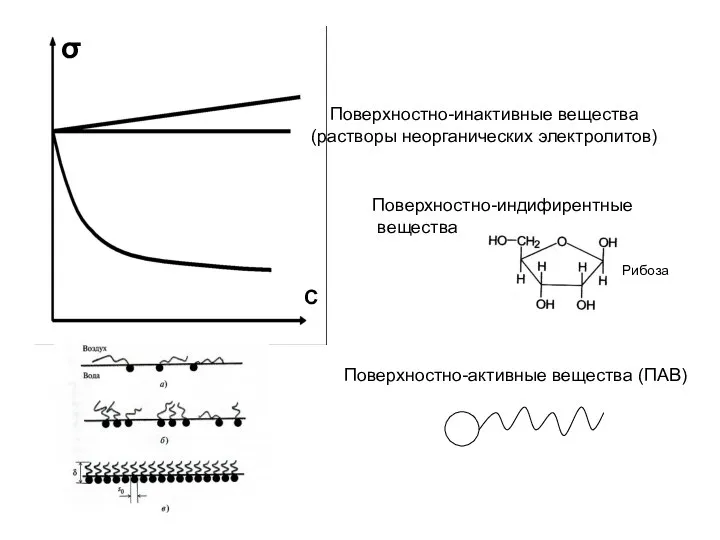 Поверхностно-инактивные вещества (растворы неорганических электролитов) Поверхностно-индифирентные вещества Поверхностно-активные вещества (ПАВ) σ С Рибоза