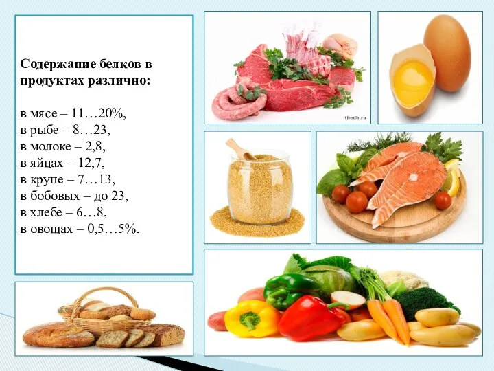 Содержание белков в продуктах различно: в мясе – 11…20%, в