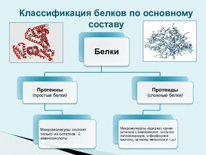 Классификация белков по основному составу