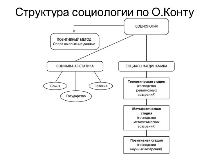 Структура социологии по О.Конту