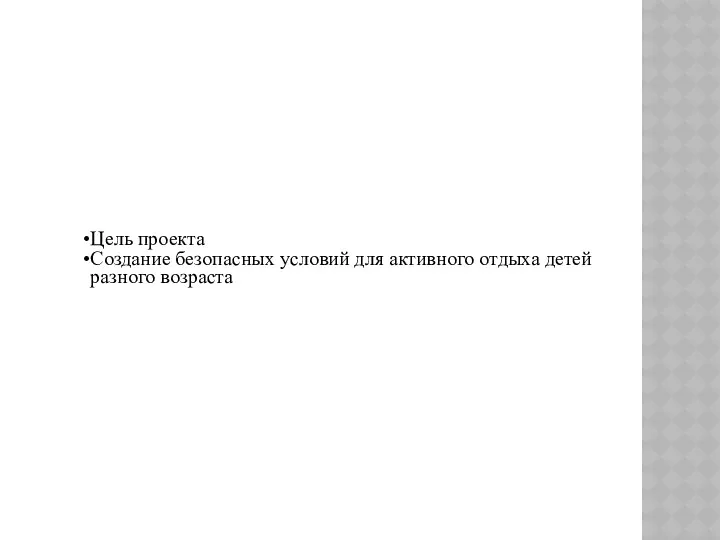 Цель проекта Создание безопасных условий для активного отдыха детей разного возраста