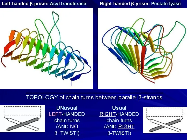 UNusual LEFT-HANDED chain turns (AND NO β−TWIST!) Left-handed β-prism: Acyl