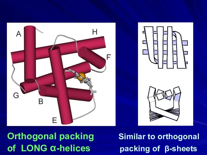 Orthogonal packing Similar to orthogonal of LONG α-helices packing of β-sheets