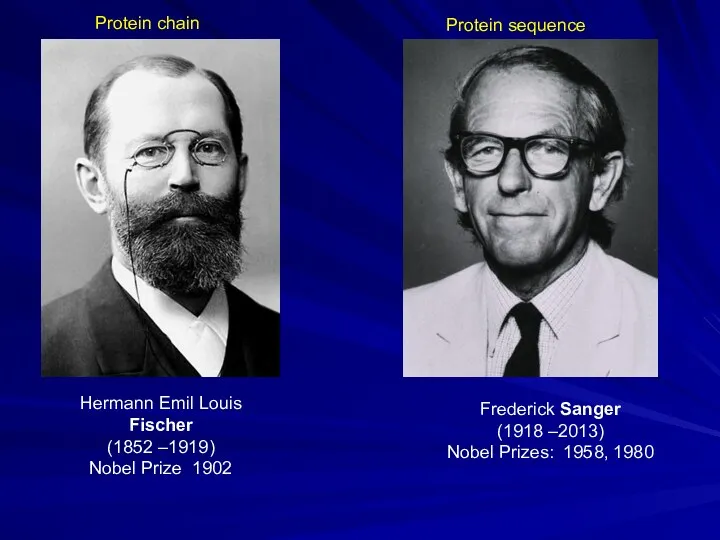 Hermann Emil Louis Fischer (1852 –1919) Nobel Prize 1902 Protein