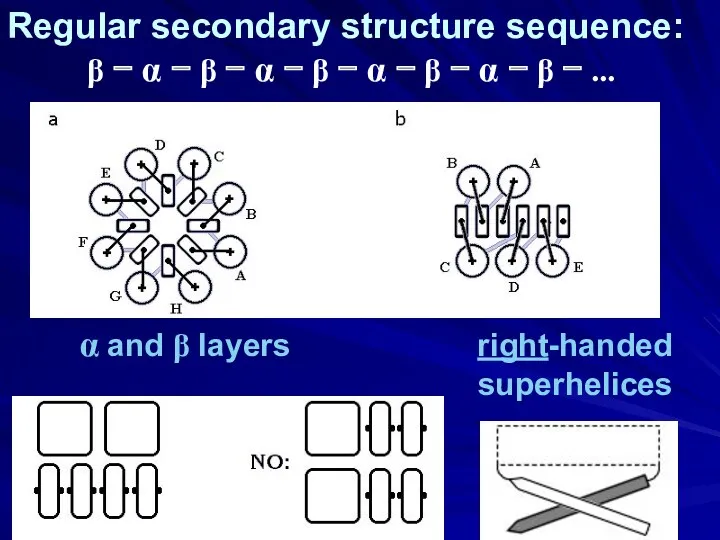 α and β layers right-handed superhelices Regular secondary structure sequence:
