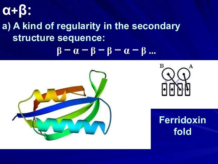 α+β: a) A kind of regularity in the secondary structure