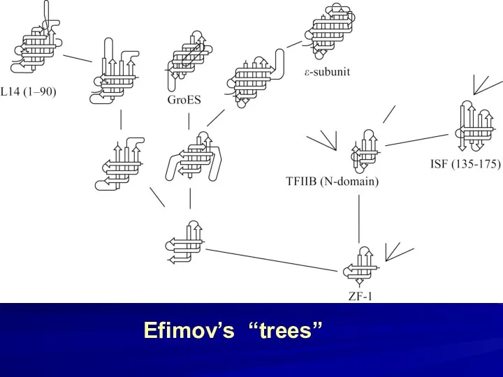 Efimov’s “trees”