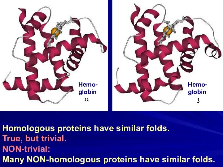 Homologous proteins have similar folds. True, but trivial. NON-trivial: Many