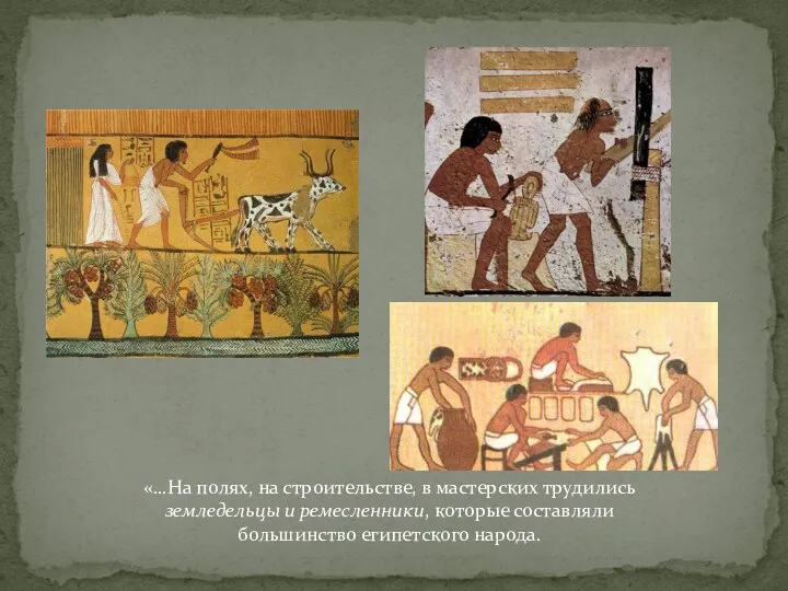 «…На полях, на строительстве, в мастерских трудились земледельцы и ремесленники, которые составляли большинство египетского народа.