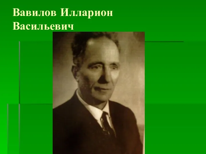 Вавилов Илларион Васильевич