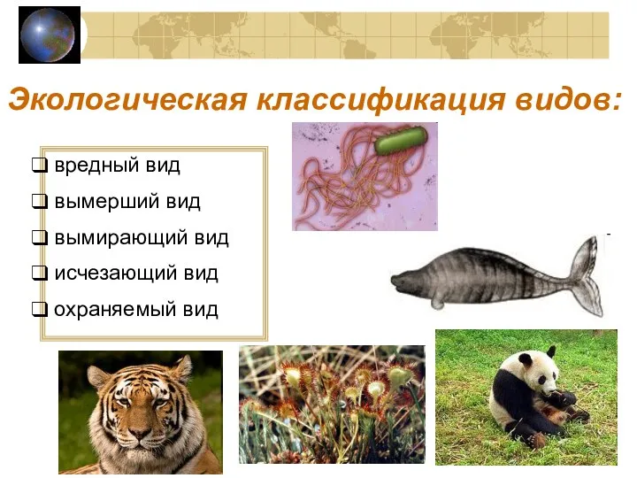Экологическая классификация видов: вредный вид вымерший вид вымирающий вид исчезающий вид охраняемый вид