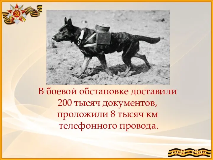 В боевой обстановке доставили 200 тысяч документов, проложили 8 тысяч км телефонного провода.