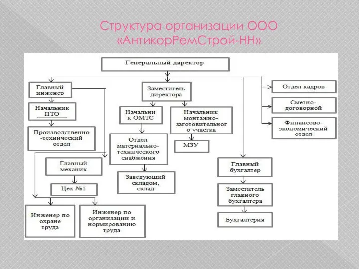 Структура организации ООО «АнтикорРемСтрой-НН»
