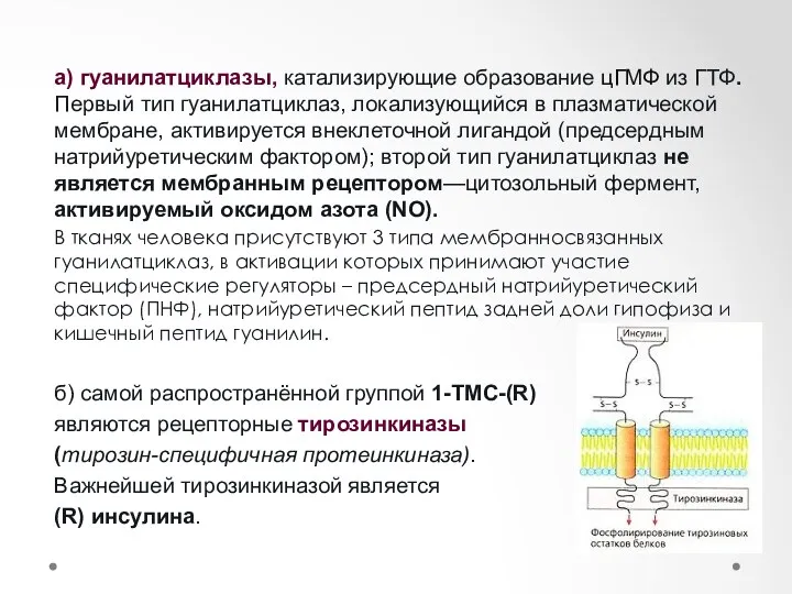 К 1-TMС-(R) относятся : а) гуанилатциклазы, катализирующие образование цГМФ из