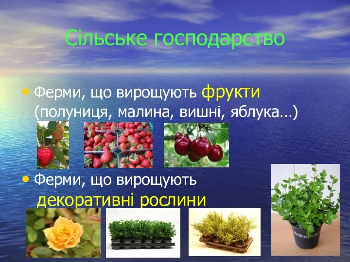 Сільське господарство Ферми, що вирощують фрукти (полуниця, малина, вишні, яблука…) Ферми, що вирощують декоративні рослини