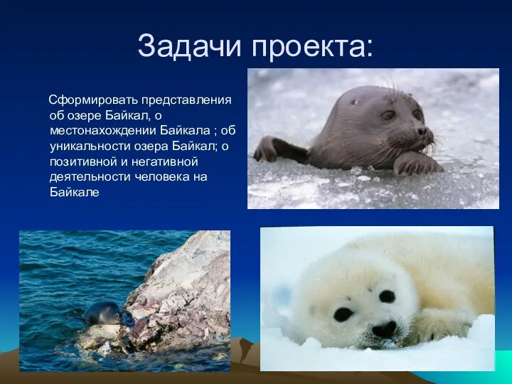 Задачи проекта: Сформировать представления об озере Байкал, о местонахождении Байкала