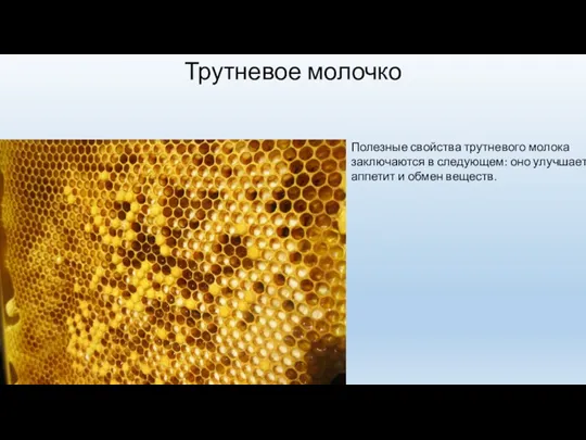 Трутневое молочко Полезные свойства трутневого молока заключаются в следующем: оно улучшает аппетит и обмен веществ.