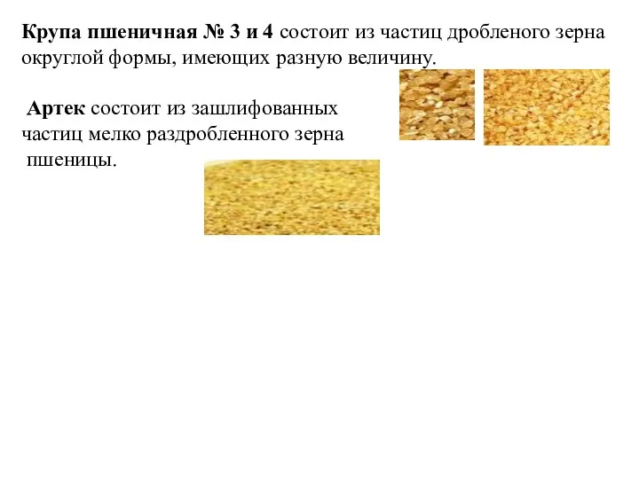 Крупа пшеничная № 3 и 4 состоит из частиц дробленого зерна округлой формы,