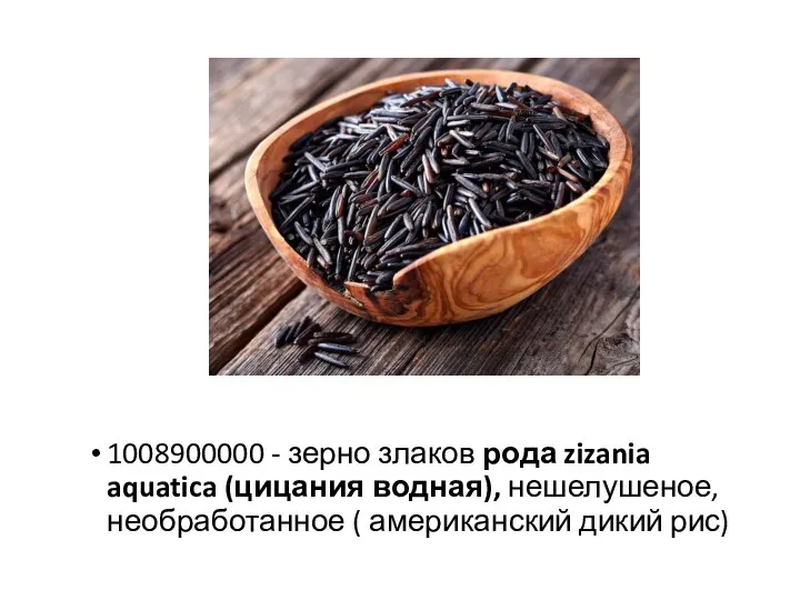 1008900000 - зерно злаков рода zizania aquatica (цицания водная), нешелушеное, необработанное ( американский дикий рис)