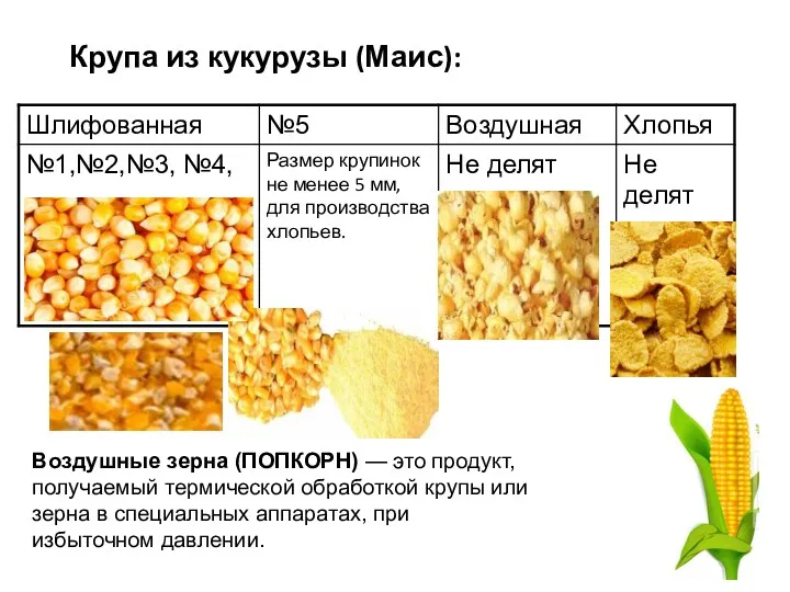 Крупа из кукурузы (Маис): Воздушные зерна (ПОПКОРН) — это продукт, получаемый термической обработкой