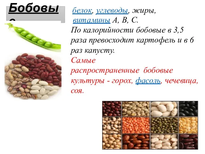 Бобовые белок, углеводы, жиры, витамины А, В, С. По калорийности бобовые в 3,5