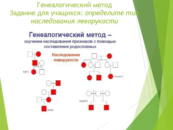 Генеалогический метод Задание для учащихся: определите тип наследования леворукости