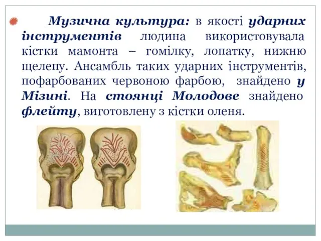 Музична культура: в якості ударних інструментів людина використовувала кістки мамонта