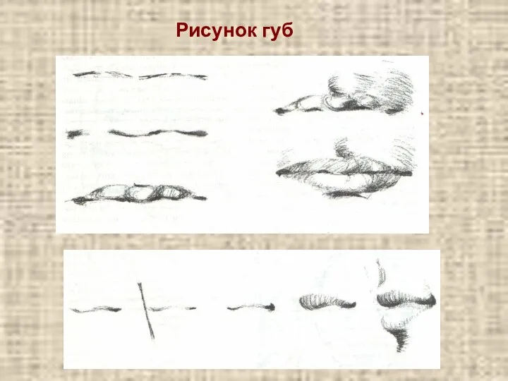 Рисунок губ