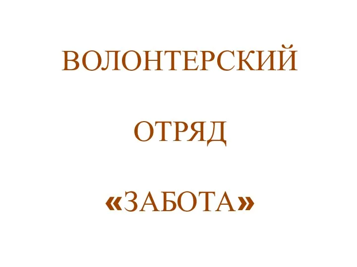 ВОЛОНТЕРСКИЙ ОТРЯД «ЗАБОТА»