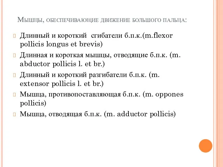 Мышцы, обеспечивающие движение большого пальца: Длинный и короткий сгибатели б.п.к.(m.flexor