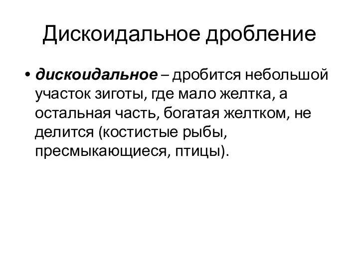 Дискоидальное дробление дискоидальное – дробится небольшой участок зиготы, где мало