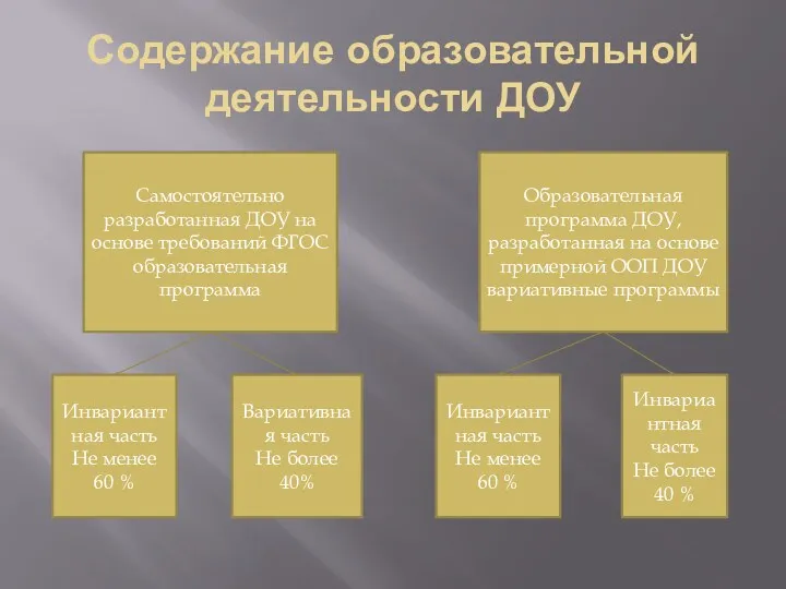 Содержание образовательной деятельности ДОУ Самостоятельно разработанная ДОУ на основе требований