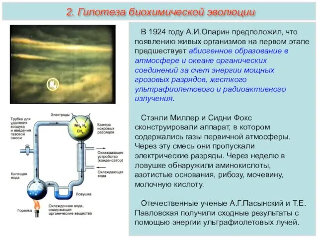 В 1924 году А.И.Опарин предположил, что появлению живых организмов на