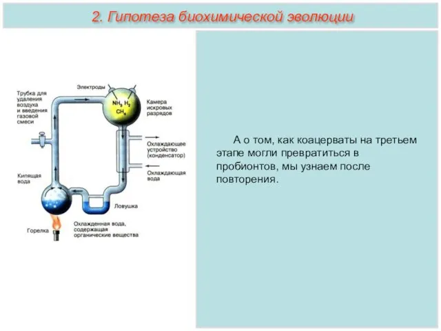 А о том, как коацерваты на третьем этапе могли превратиться