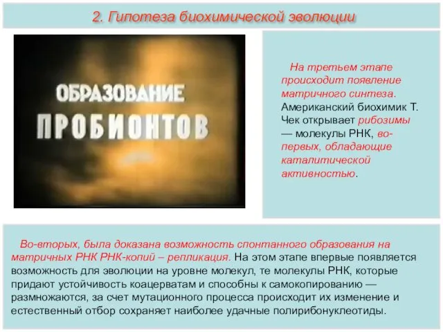 На третьем этапе происходит появление матричного синтеза. Американский биохимик Т.Чек открывает рибозимы —