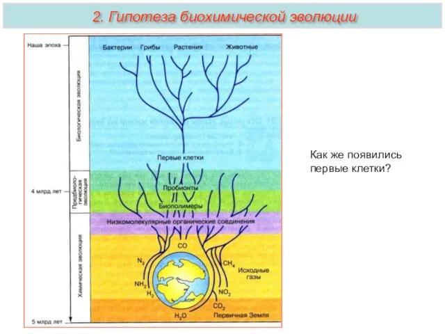 2. Гипотеза биохимической эволюции Как же появились первые клетки?