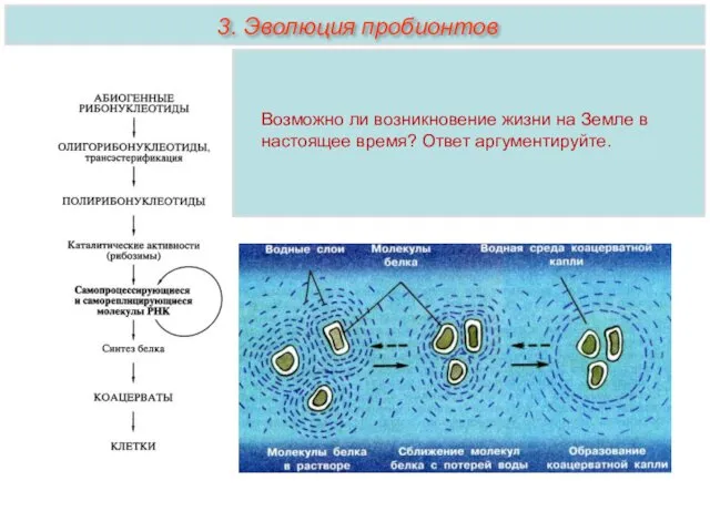 Возможно ли возникновение жизни на Земле в настоящее время? Ответ аргументируйте. 3. Эволюция пробионтов