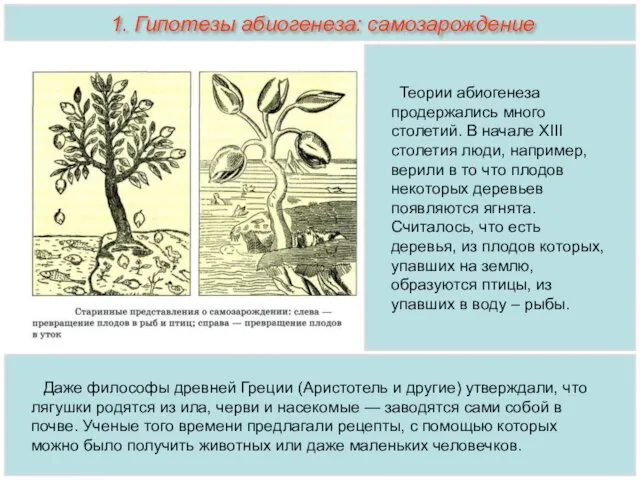 Теории абиогенеза продержались много столетий. В начале ХIII столетия люди, например, верили в