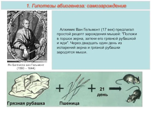 Алхимик Ван Гельмонт (17 век) предлагал простой рецепт зарождения мышей: "Положи в горшок