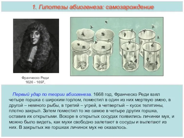 Франческо Реди 1626 - 1697, Первый удар по теории абиогенеза.